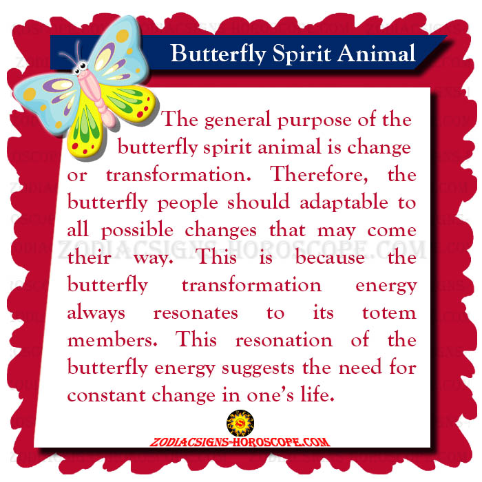 Butterfly Spirit Animal Meaning