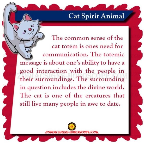 The Cat Spirit Animal, Totem, Meaning, Symbolism and Cat Dreams