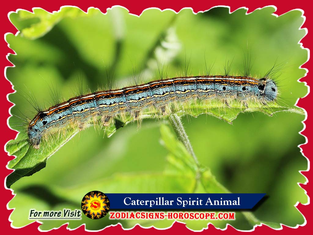 Caterpillar Spirit Animal