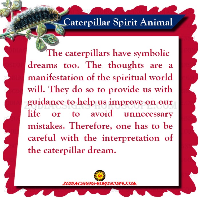 Caterpillar Spirit Animal Meaning