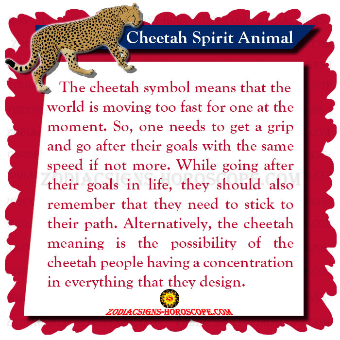 Cheetah Spirit Animal Meaning