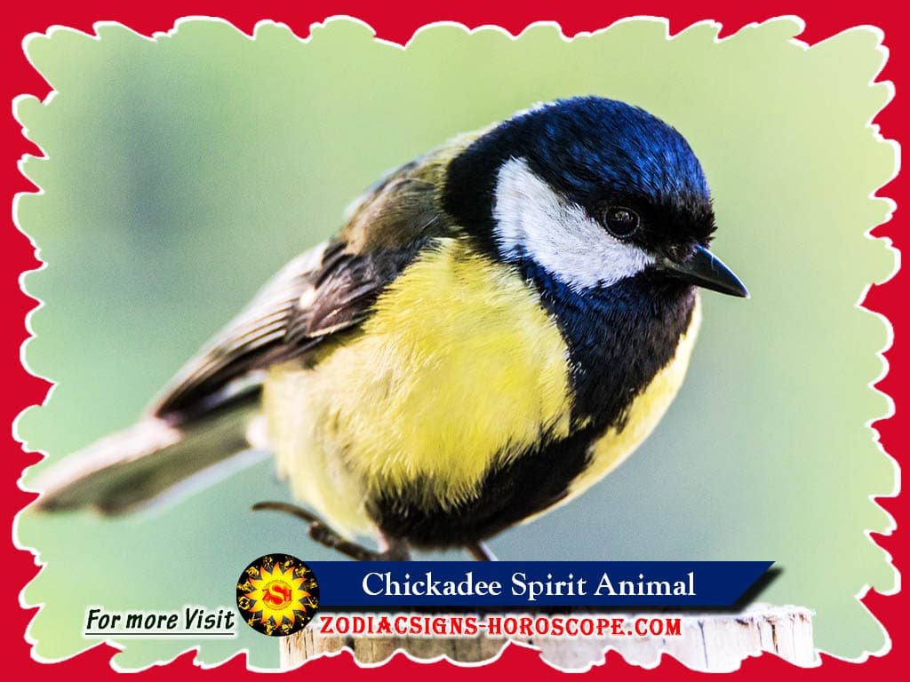 Animal esperit Chickadee