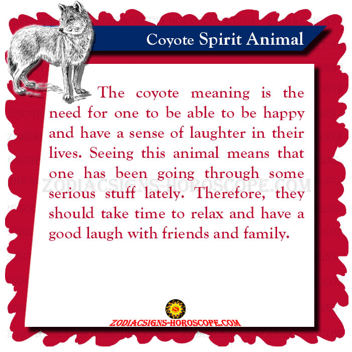 Coyote Spirit Animal Meaning