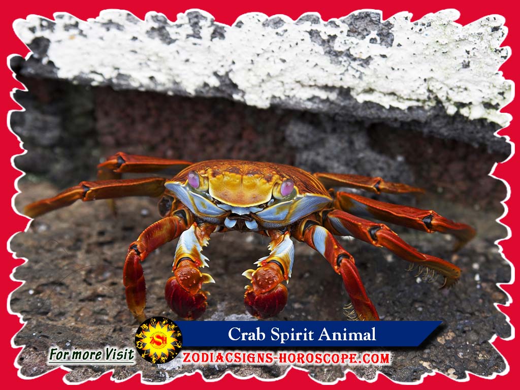 Crab Spirit Animal