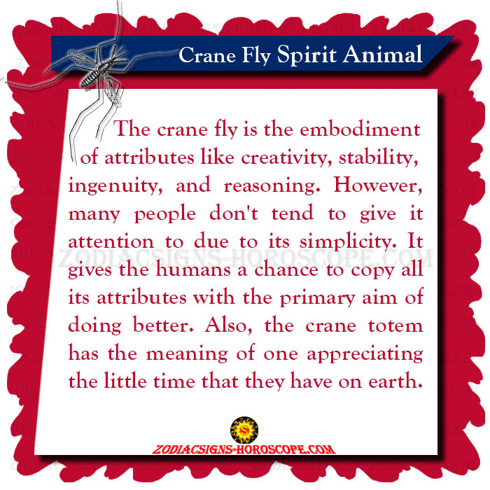 Crane Fly Spirit Animal Totem Meaning And Symbolic Significance