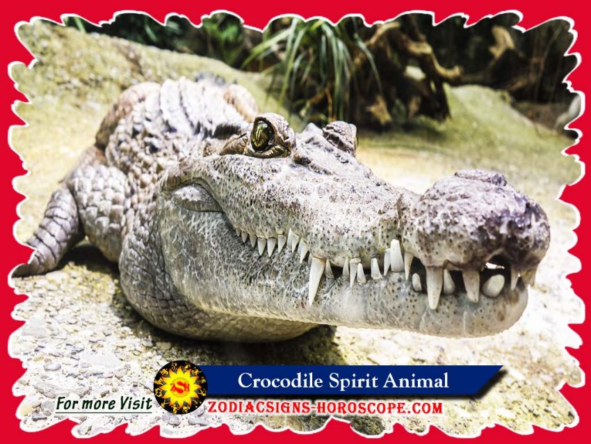Crocodile Spirit Animal Totem, Meaning, Symbolism and Dream