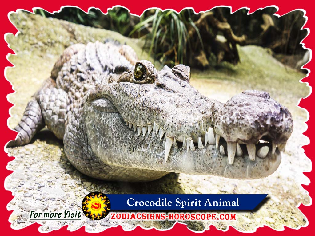 Animal Espiritual Crocodilo