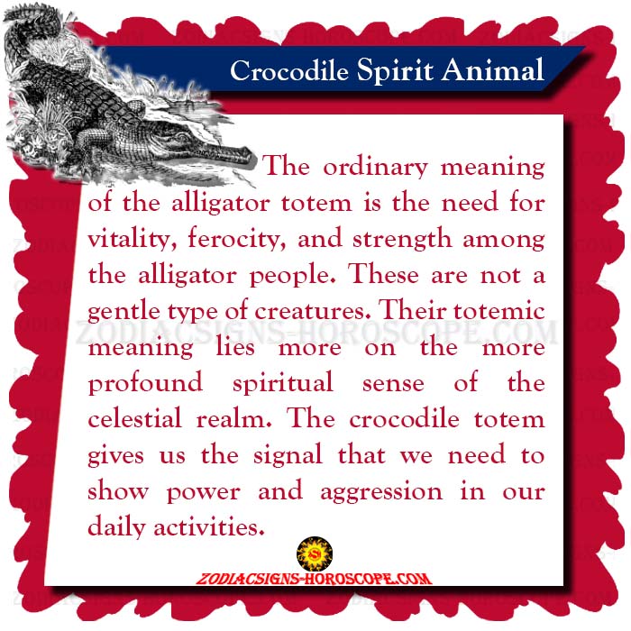 Crocodile Spirit Animal Meaning