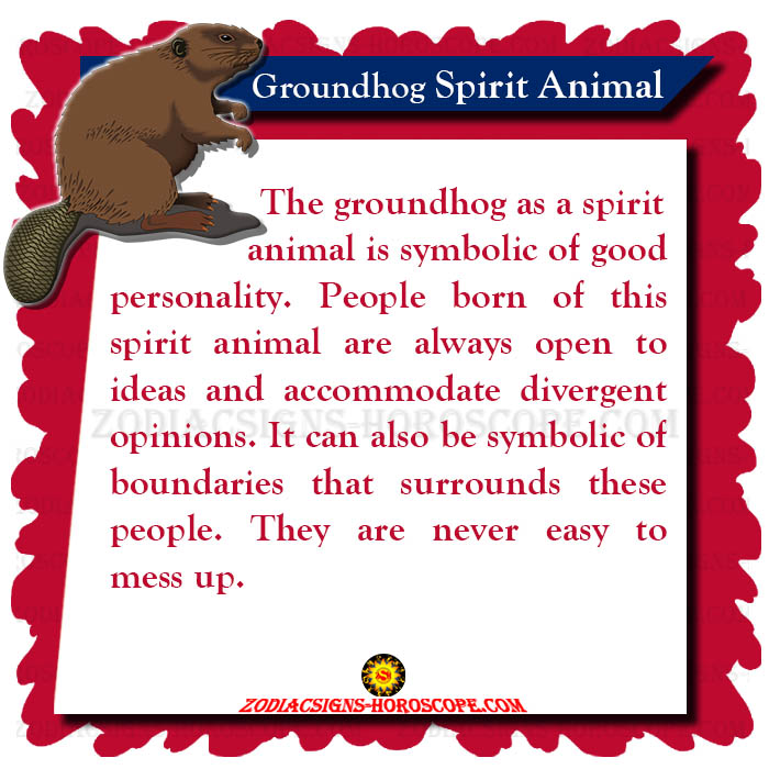 Groundhog Spirit Animal: Meaning, Symbolism, Groundhog Totem Dreams