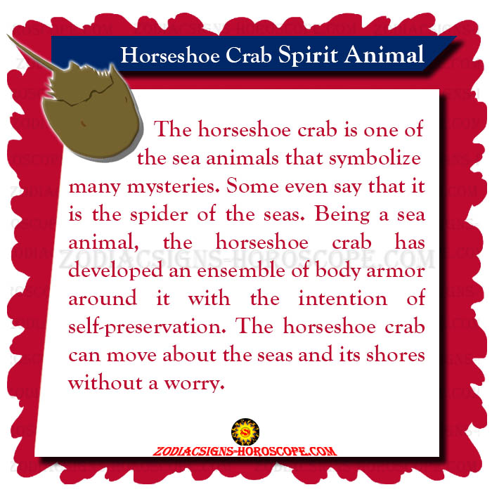 Horseshoe Crab Spirit Animal Meaning