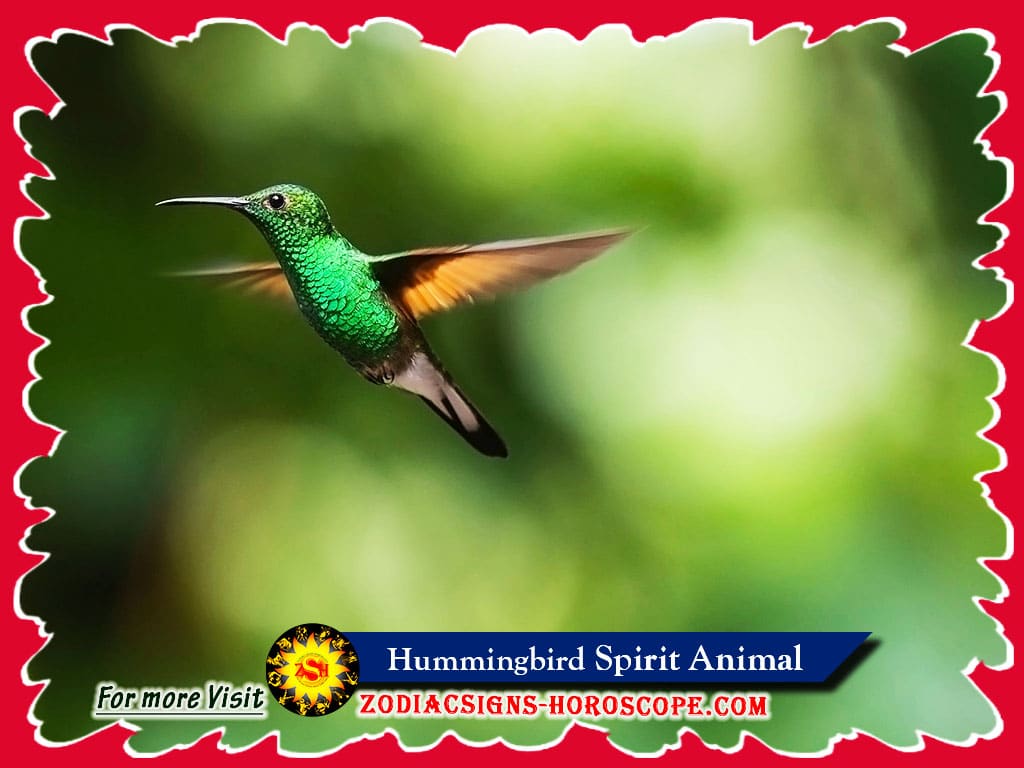 Hummingbird spirit dyr