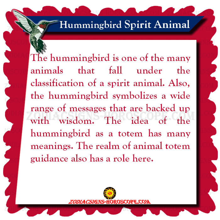 Hummingbird spirit animal meaning