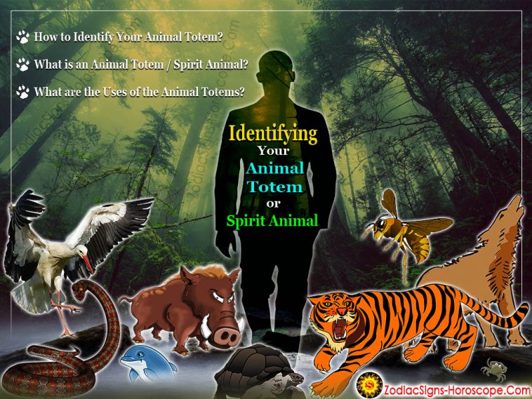 Identify Your Animal Totem