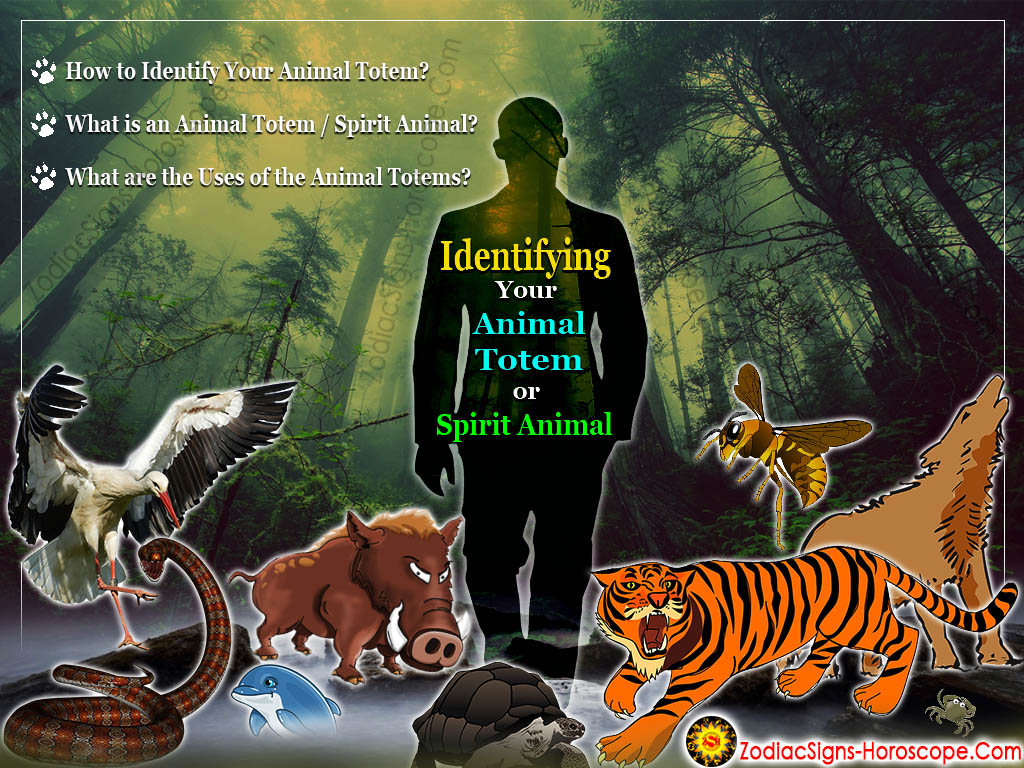 Identifying Your Animal Totem or Spirit Animal - Your Spirit Animal Guide Identifying Your Animal Totem or Spirit Animal - Your Spirit Animal Guide