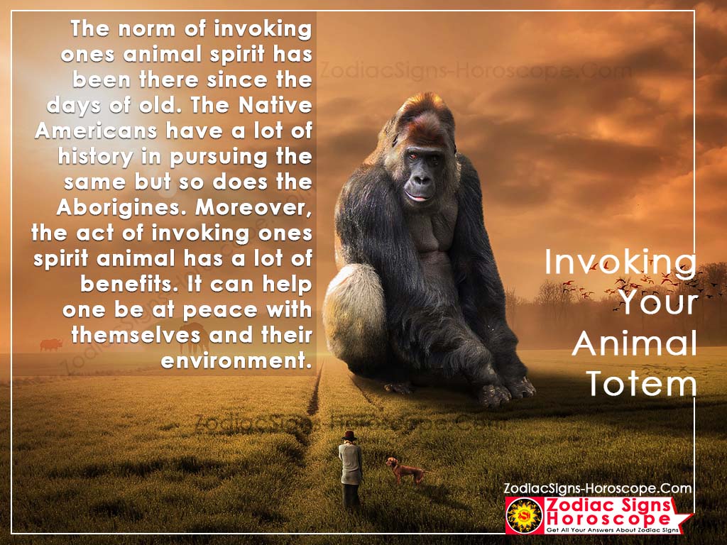 Invoking your animal totem or spirit animal