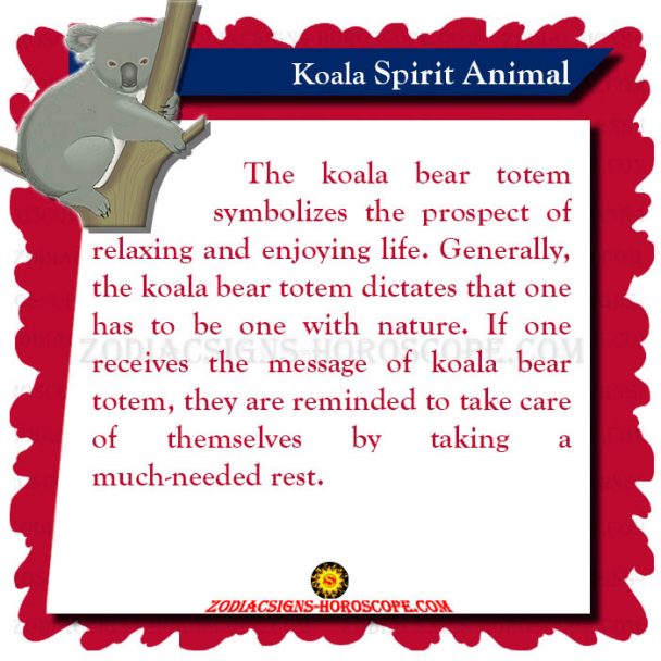 Koala Spirit Animal Totem, Meaning, Symbolism and Dreams