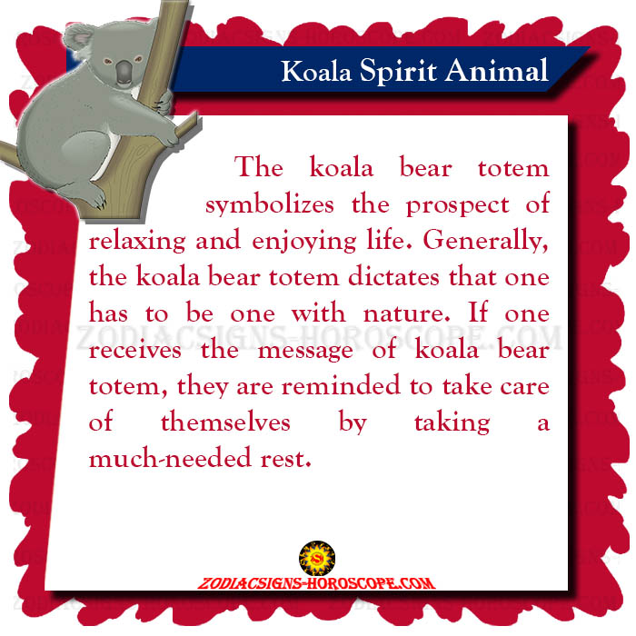 Koala Spirit Animal Meaning