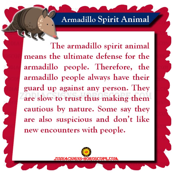 Armadillo Spirit Animal