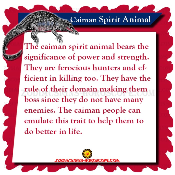 The Caiman Spirit Animal