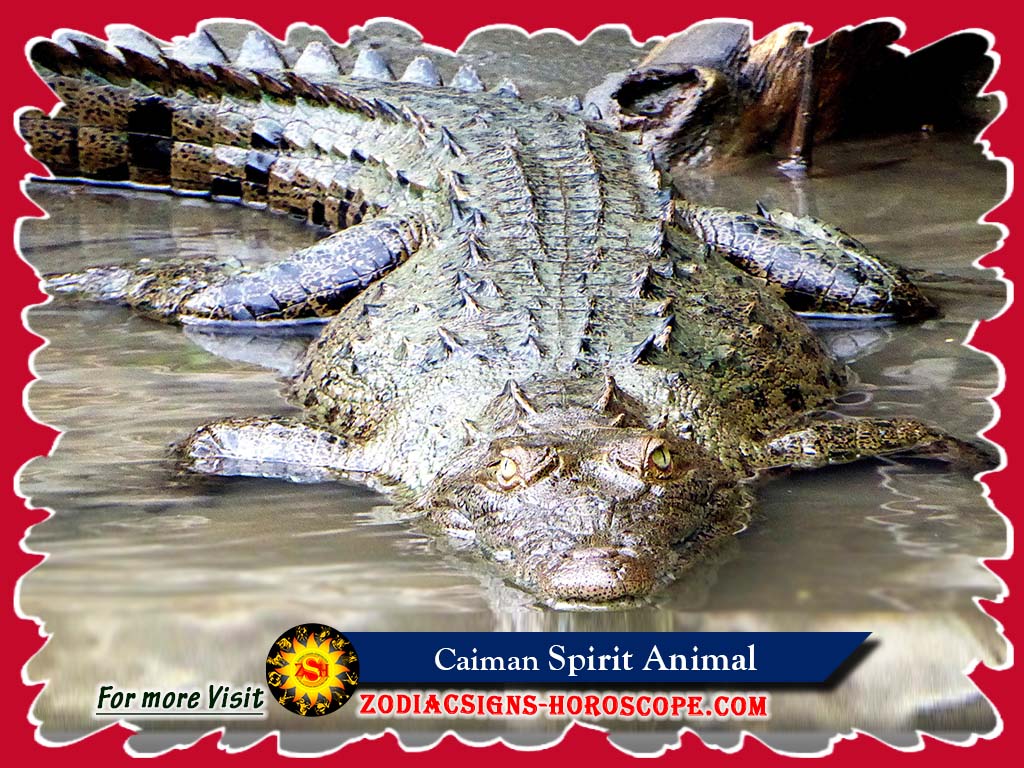 The Caiman: Spirit Animal, Animal Totem, Meaning and Symbolism