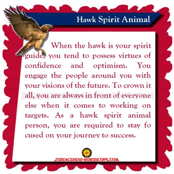 Hawk Spirit Animal Meaning, Symbolism and Dreams of Hawk Totem