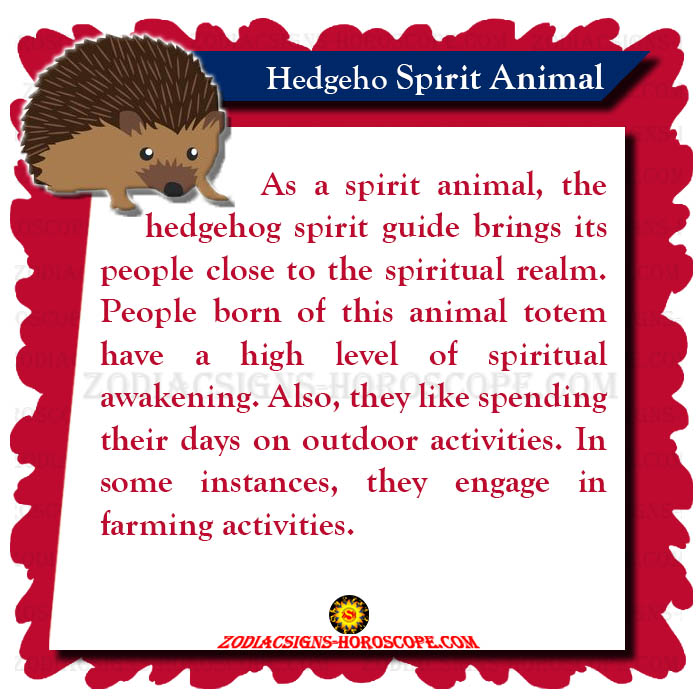 Hedgehog Spirit Animal