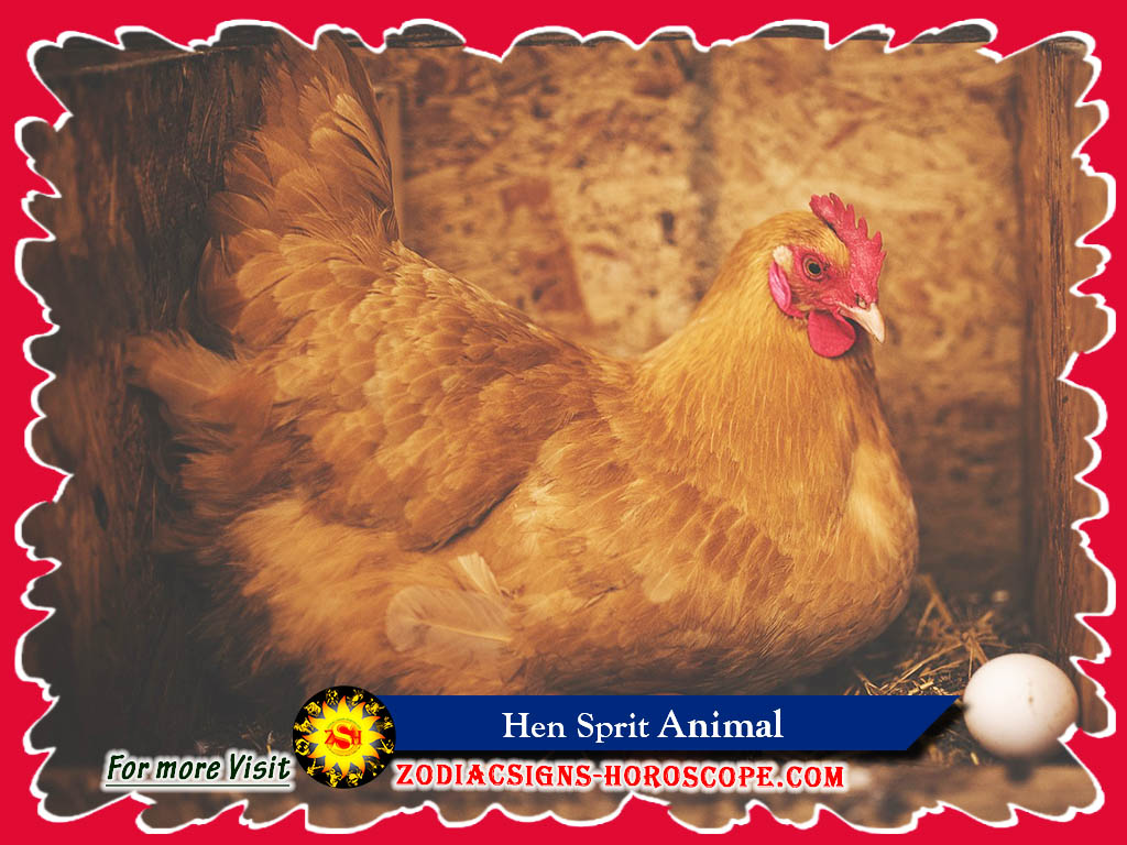 Hen Spirit Animal Meaning, Symbolism and Dreams of Hen Totem