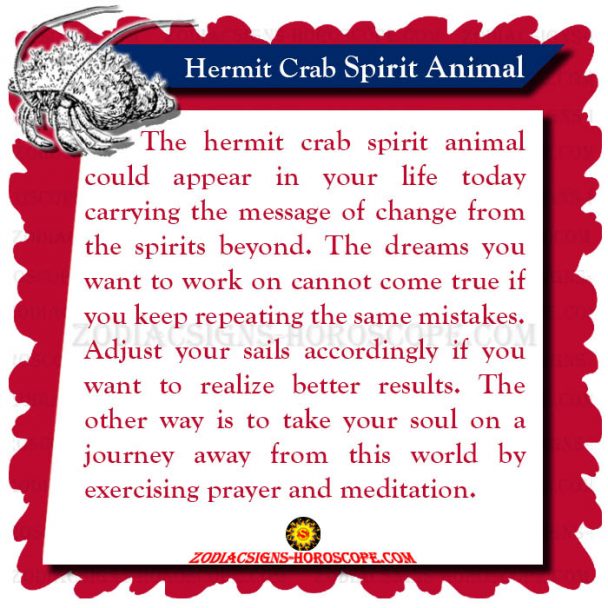Hermit Crab Spirit Animal: Meaning, Symbolism and Dreams of Hen Totem