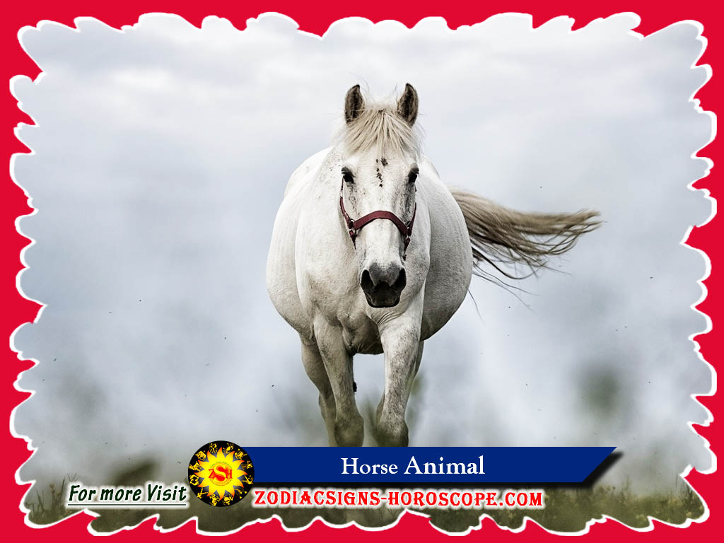 Horse Spirit Animal: Meaning, Symbolism & Dreams of Horse Totem