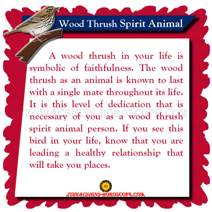 Wood Thrush Spirit Animal