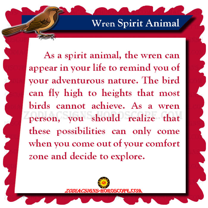 Wren Spirit Animal