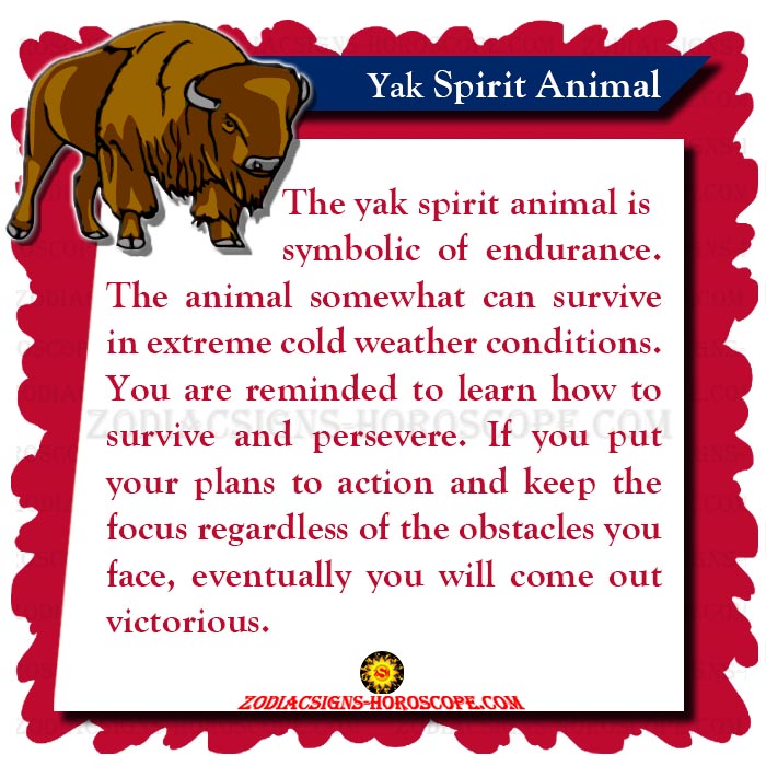 Yak Spirit Animal