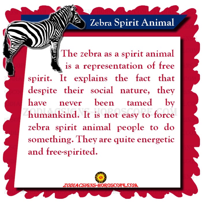 The Zebra Spirit Animal