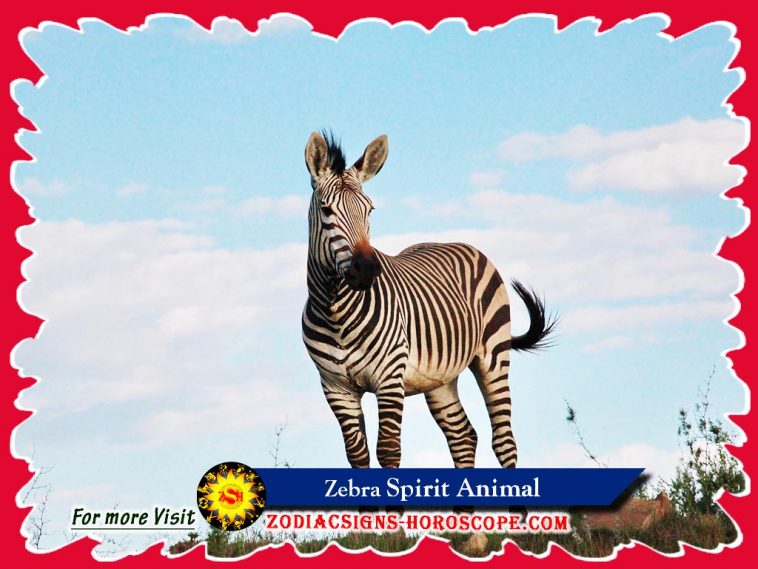 Zebra andedjuret