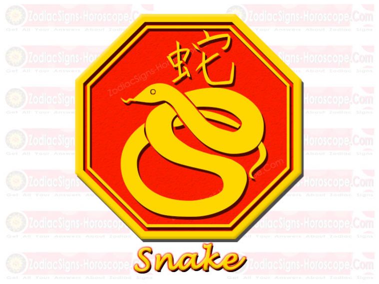 Kinesisk stjernetegn for slange