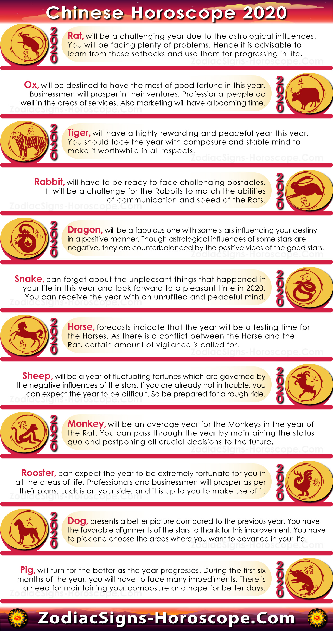 Chinese 2020 Horoscope Infographic