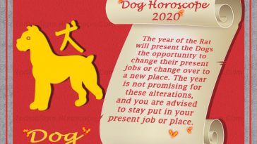 2019 Dog Chinese Zodiac Prediction Year Of Pig Forecast
