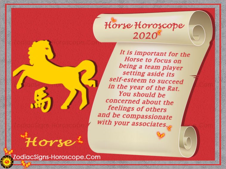 Hästhoroskop 2020 förutsägelser