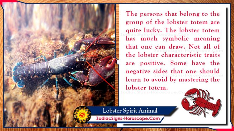 A homár szellem állat jelentése és szimbolizmusa