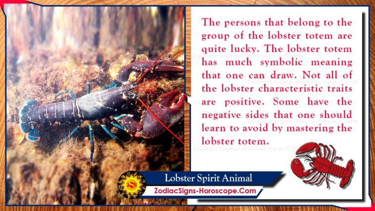 Lobster Spirit Animal Meaning and Symbolism