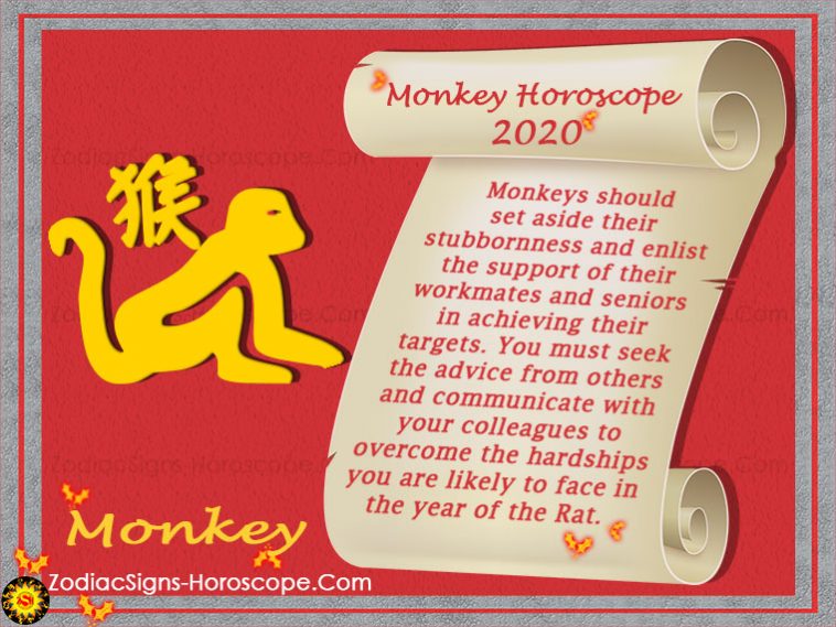 Monkey Horoscope 2020 förutsägelser