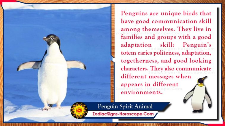 Penguin Spirit Animal Merkitys