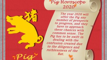 Chinese Horoscope 2020 Chinese New Year 2020 Horoscope Predictions