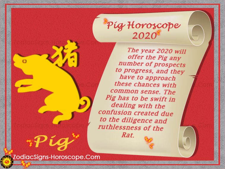 הורוסקופ חזיר 2020