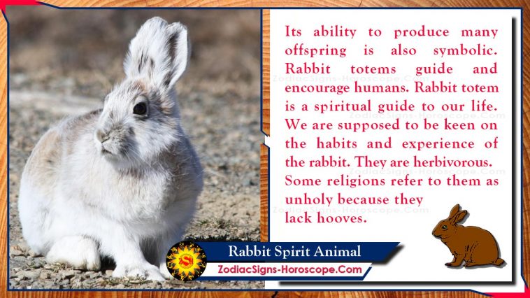 Rabbit Spirit Animal Totem Betekenis