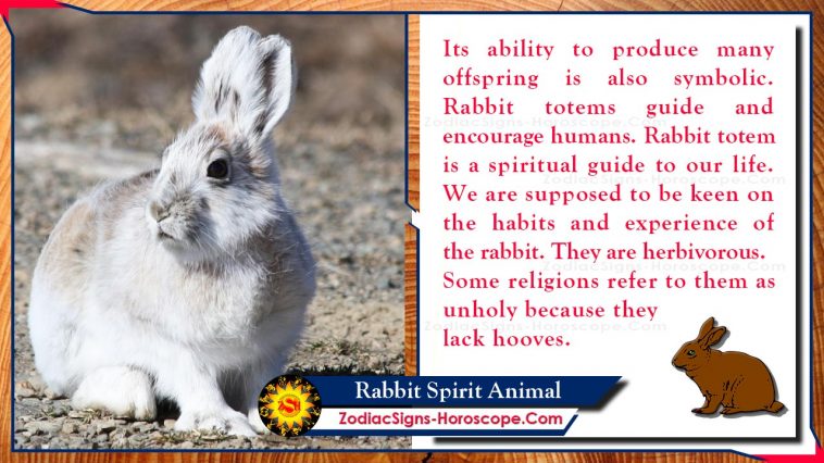Rabbit Spirit Animal Totem Meaning