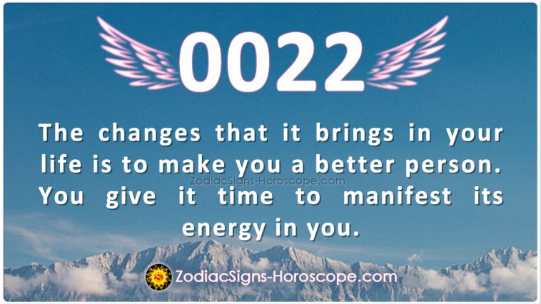 Angel Numaber 0022 Meaning