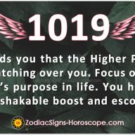 Salamander Spirit Animal: Meaning, Messages and Symbolism | ZSH