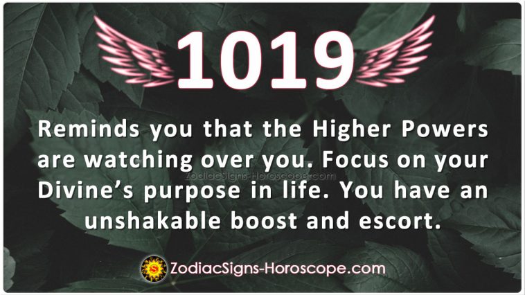 Angel Number 1019 Meaning