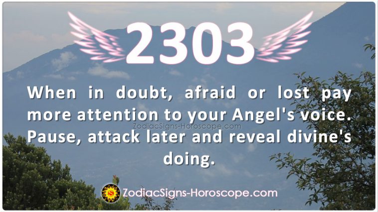 Anghel Number 2303 Meaning